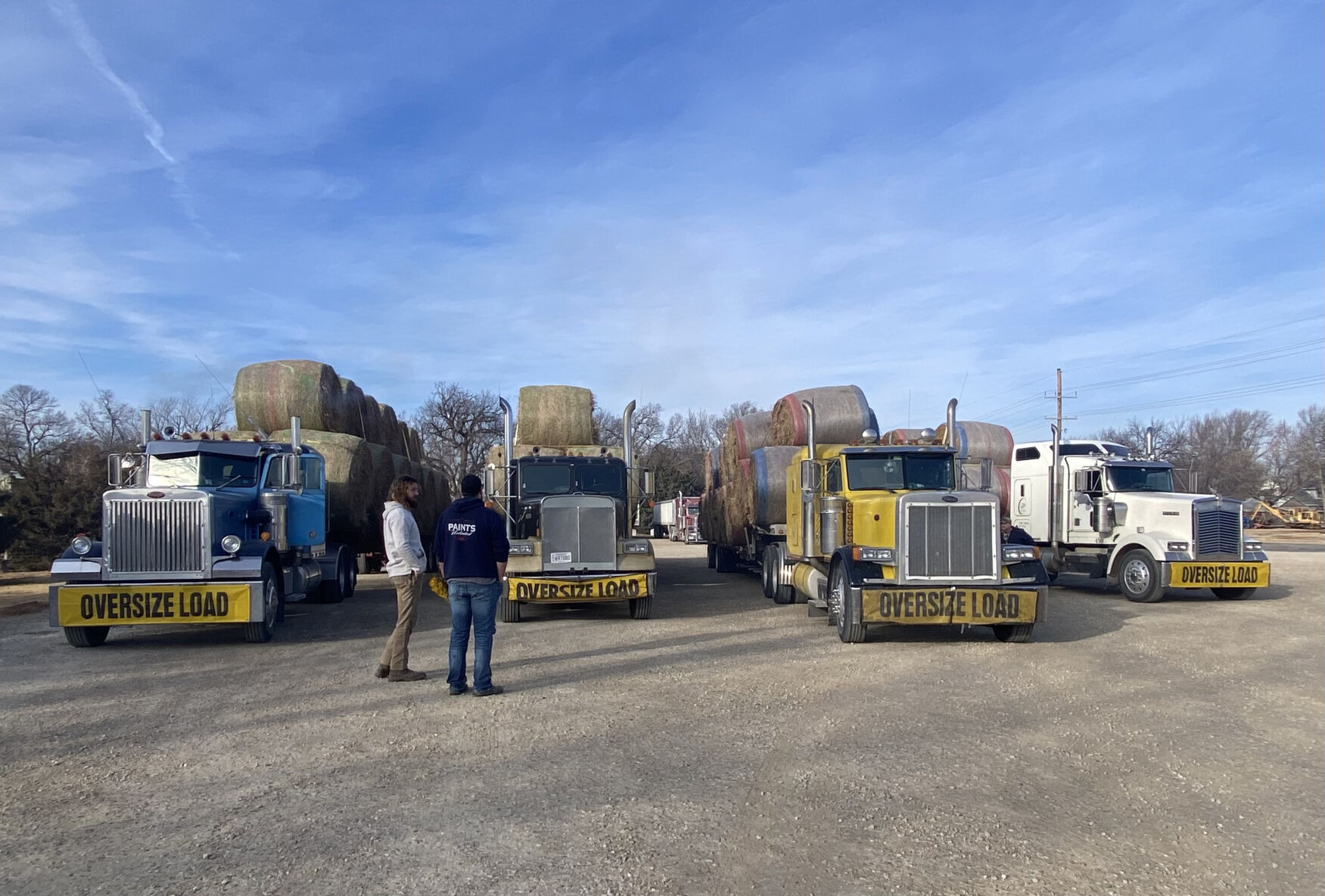 Bales of Hay